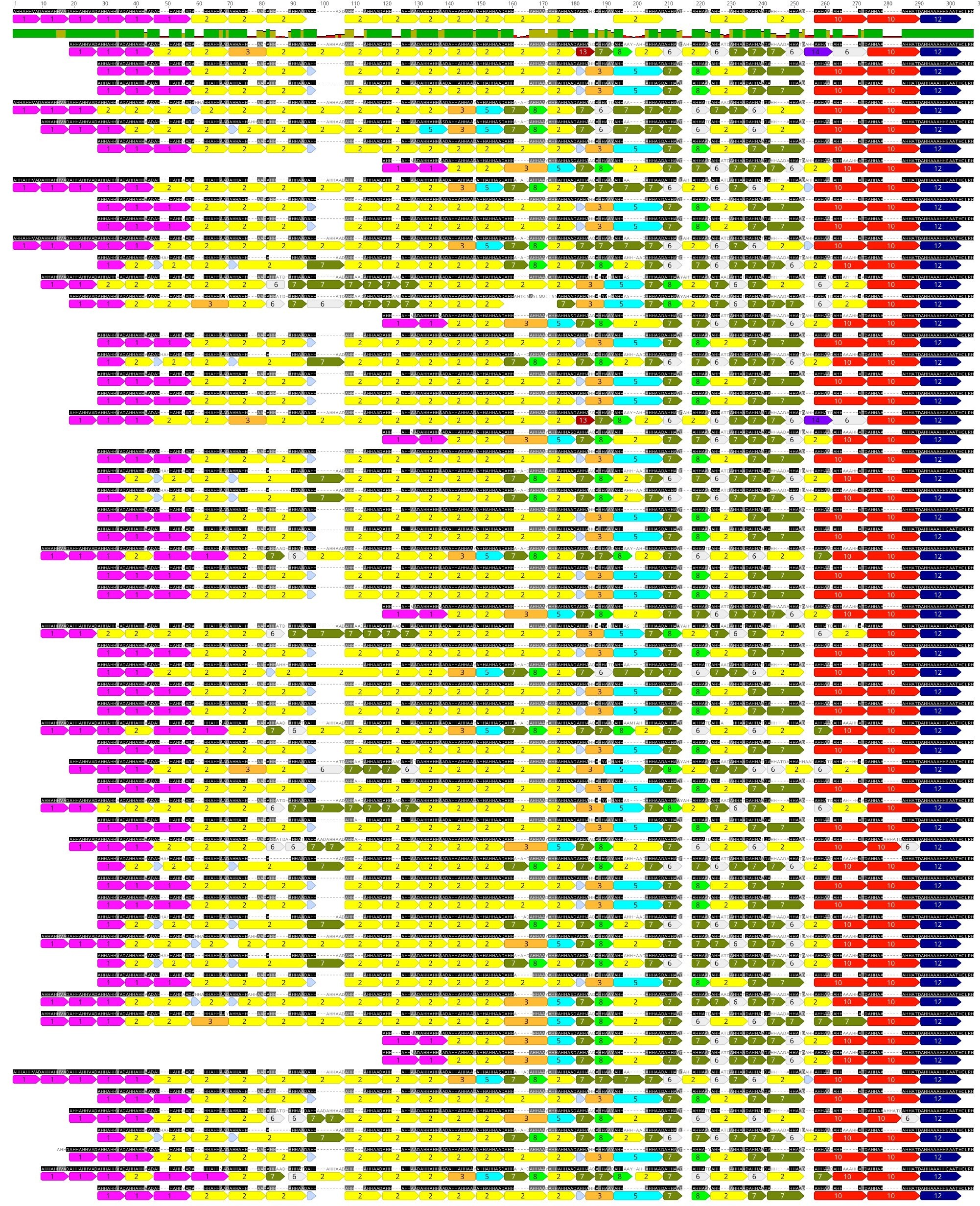 HRP2_Patterns.jpg