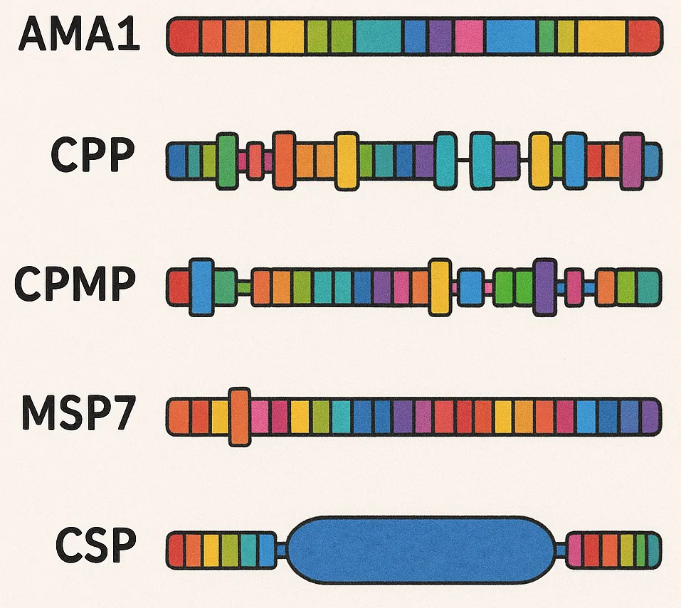 Markers.png